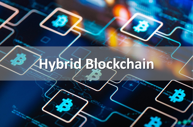 Hybrid Blockchain