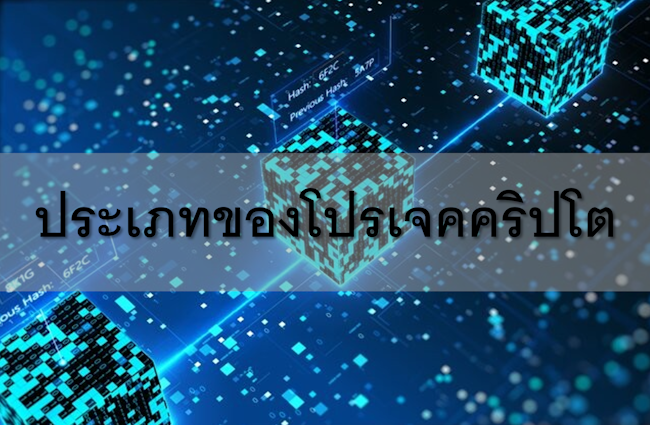 ประเภทของโปรเจคคริปโต